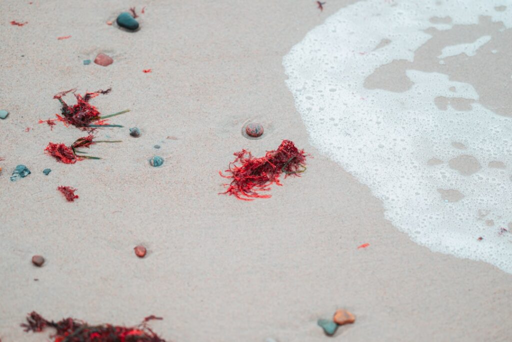 So entfernen Sie Blut aus Kleidung: Praktische Tipps für jeden Tag