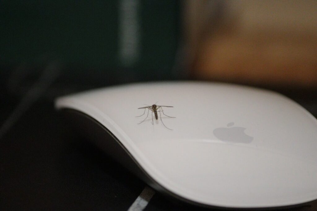 Dauerhafte Ruhe vor Mücken: Tipps für eine mückenfreie Wohnung