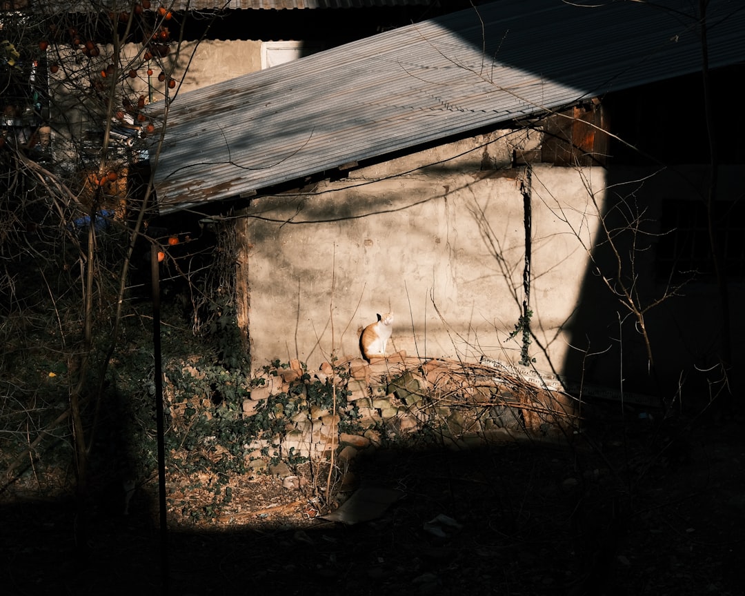 Was bedeutet authentisch wirklich? Echtheit im Alltag erkennen und leben