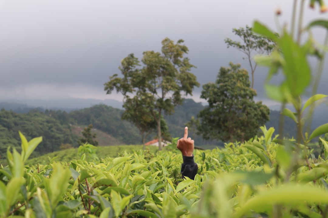 Intifada: Aufstand, Bedeutung und Geschichte im Überblick